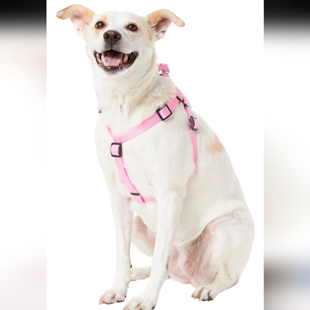 Frisco Step In Back Clip Dog Harness, Pink, Small-Medium